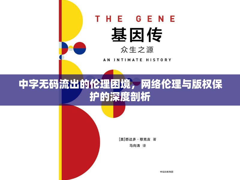 中字無碼流出的倫理困境，網(wǎng)絡(luò)倫理與版權(quán)保護(hù)的深度剖析