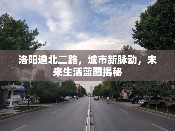 洛陽道北二路，城市新脈動，未來生活藍(lán)圖揭秘