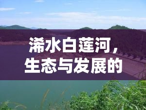 浠水白蓮河，生態(tài)與發(fā)展的新篇章