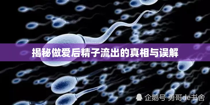 揭秘做愛(ài)后精子流出的真相與誤解