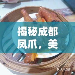 揭秘成都鳳爪，美食背后的真相與反思