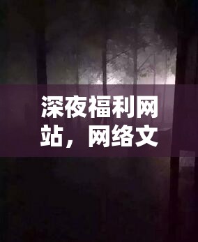 深夜福利網(wǎng)站，網(wǎng)絡文化中的灰色地帶