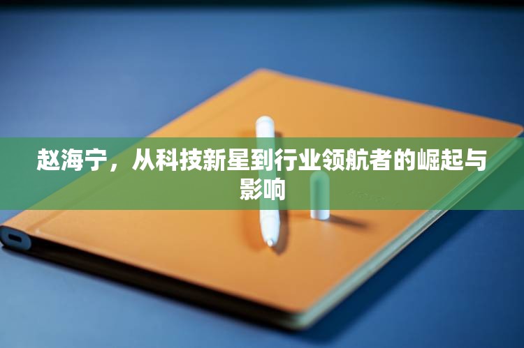 趙海寧，從科技新星到行業(yè)領航者的崛起與影響