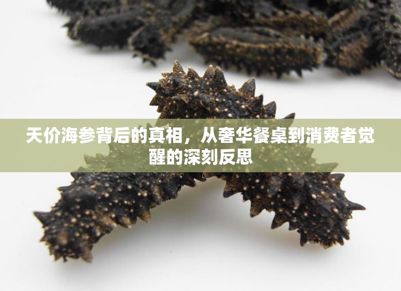 天價(jià)海參背后的真相，從奢華餐桌到消費(fèi)者覺(jué)醒的深刻反思