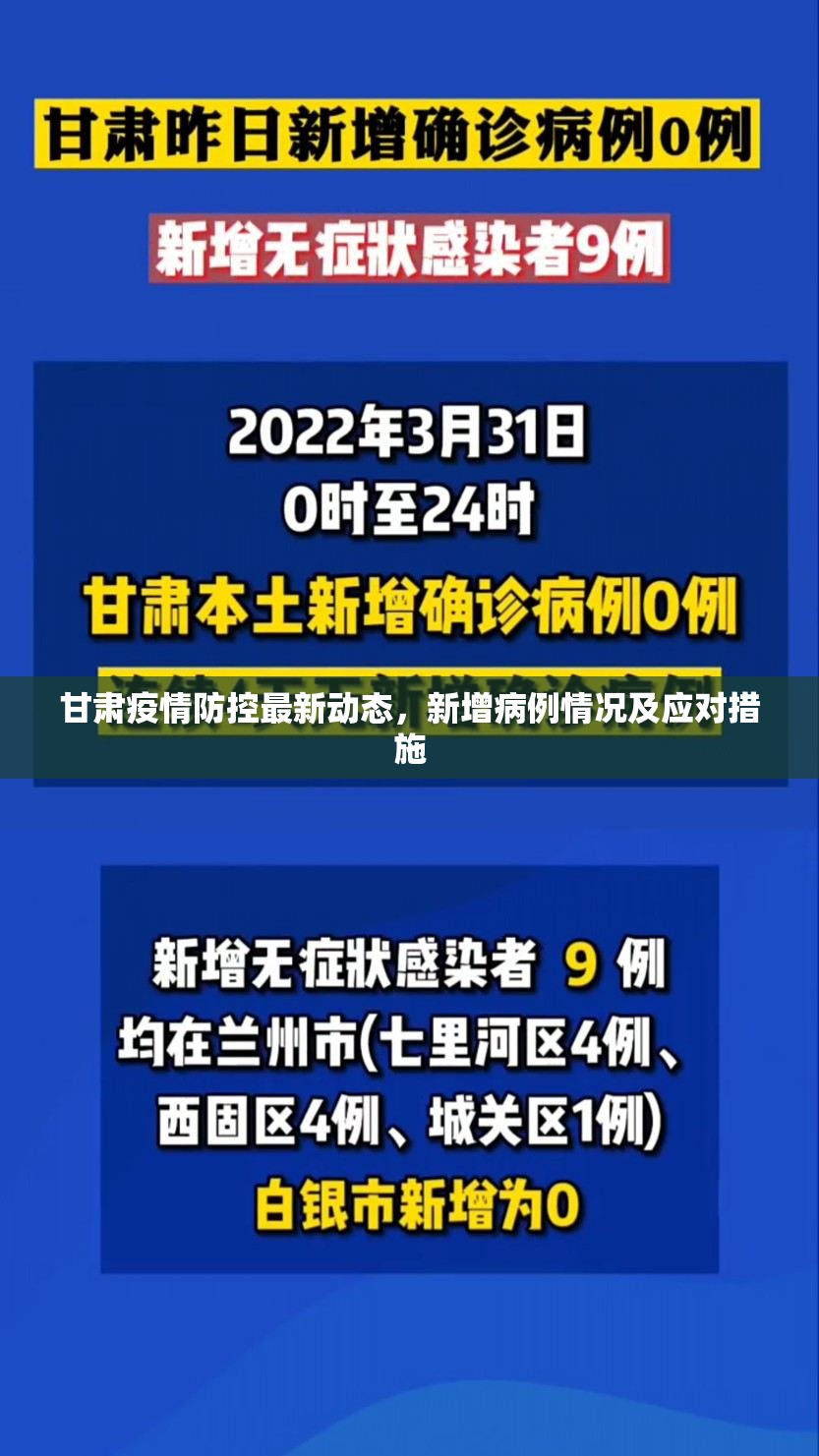 甘肅疫情防控最新動態(tài)，新增病例情況及應(yīng)對措施