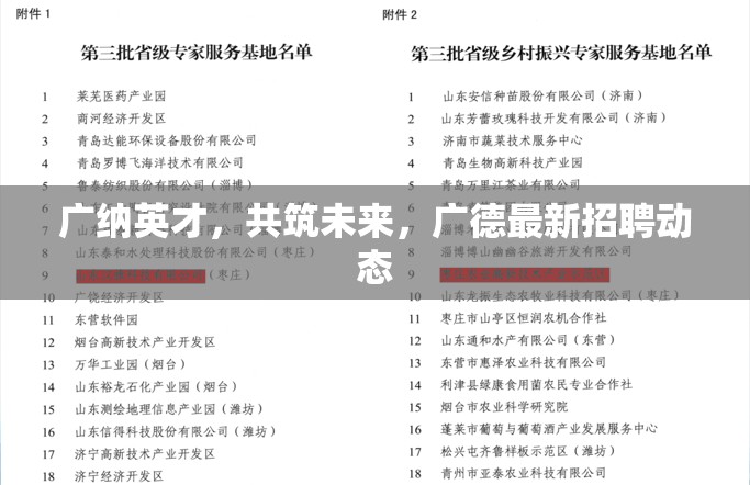 廣納英才，共筑未來，廣德最新招聘動態(tài)