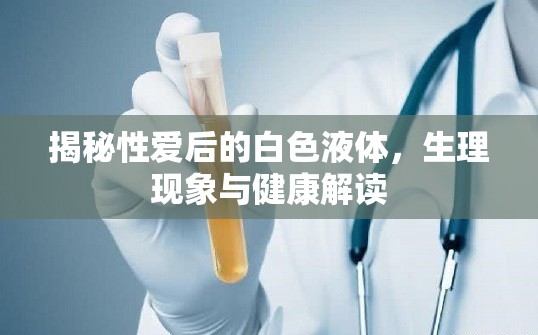 揭秘性愛后的白色液體，生理現(xiàn)象與健康解讀