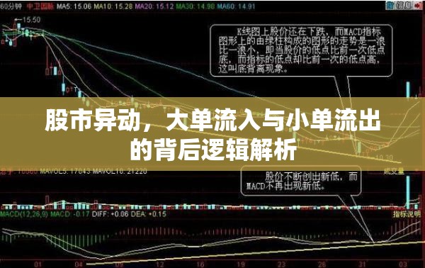 股市異動，大單流入與小單流出的背后邏輯解析