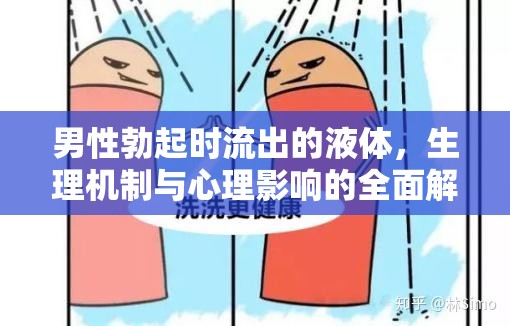 男性勃起時流出的液體，生理機制與心理影響的全面解析