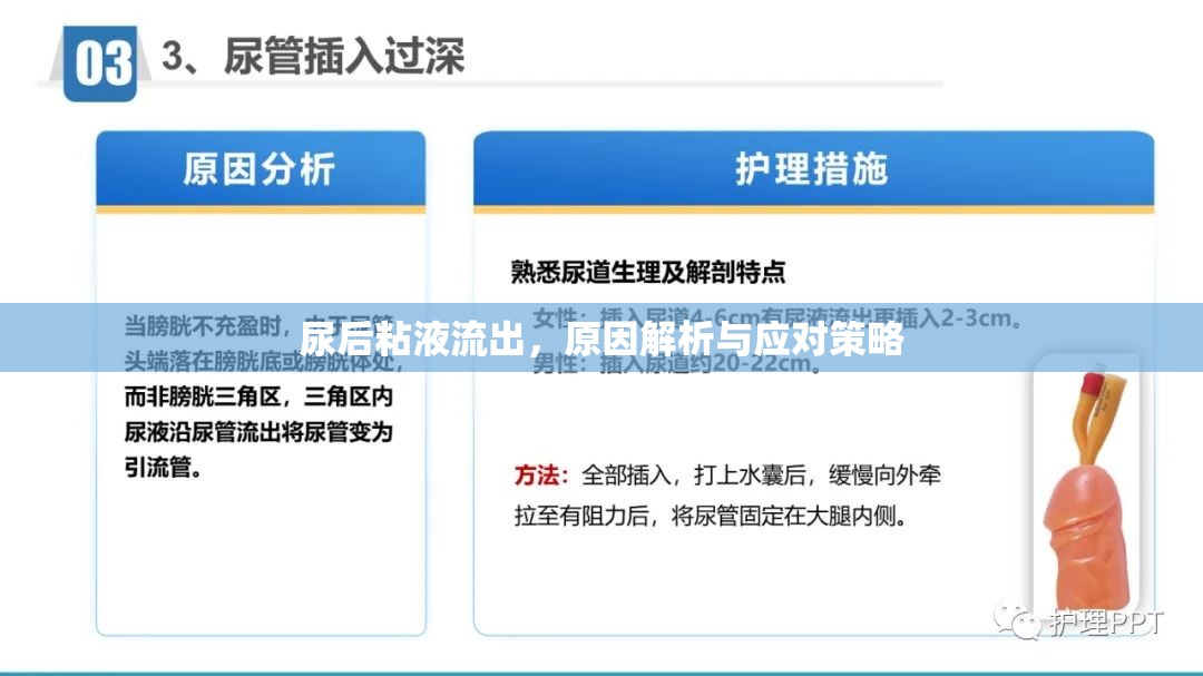 尿后粘液流出，原因解析與應(yīng)對策略
