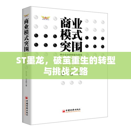 ST墨龍，破繭重生的轉(zhuǎn)型與挑戰(zhàn)之路