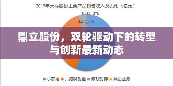 鼎立股份，雙輪驅(qū)動(dòng)下的轉(zhuǎn)型與創(chuàng)新最新動(dòng)態(tài)