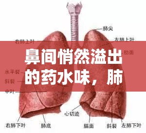 鼻間悄然溢出的藥水味，肺癌晚期的挑戰(zhàn)與堅(jiān)韌