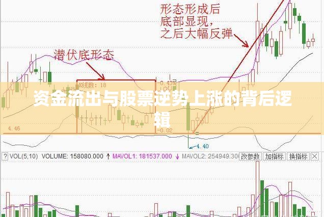 資金流出與股票逆勢上漲的背后邏輯