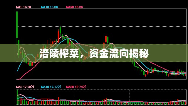 涪陵榨菜，資金流向揭秘