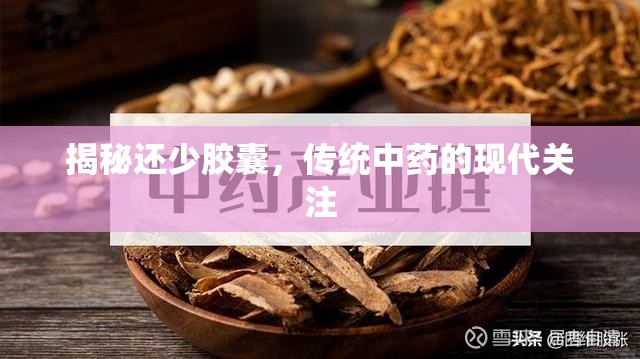 揭秘還少膠囊，傳統(tǒng)中藥的現(xiàn)代關(guān)注