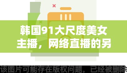 韓國(guó)91大尺度美女主播，網(wǎng)絡(luò)直播的另一面與爭(zhēng)議