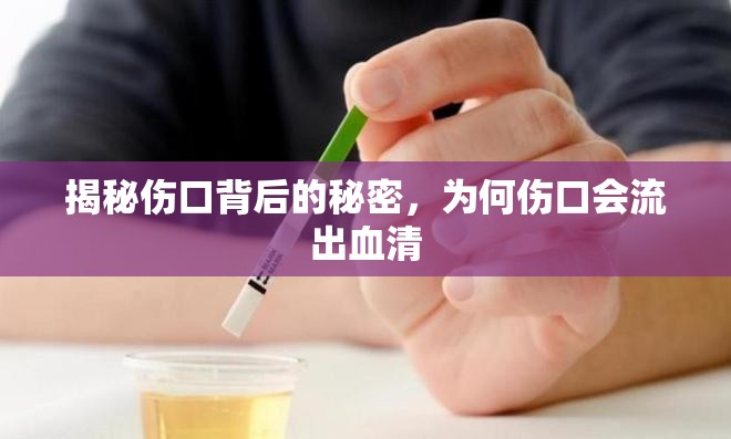 揭秘傷口背后的秘密，為何傷口會流出血清