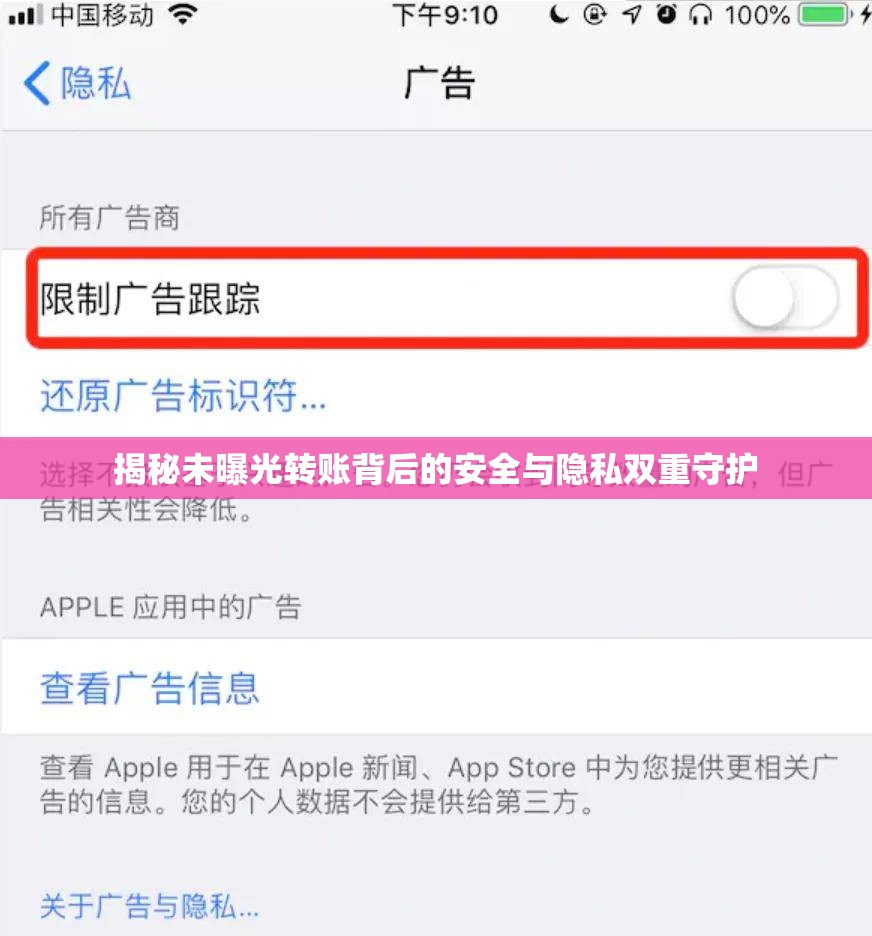 揭秘未曝光轉(zhuǎn)賬背后的安全與隱私雙重守護(hù)