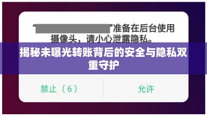 揭秘未曝光轉(zhuǎn)賬背后的安全與隱私雙重守護(hù)