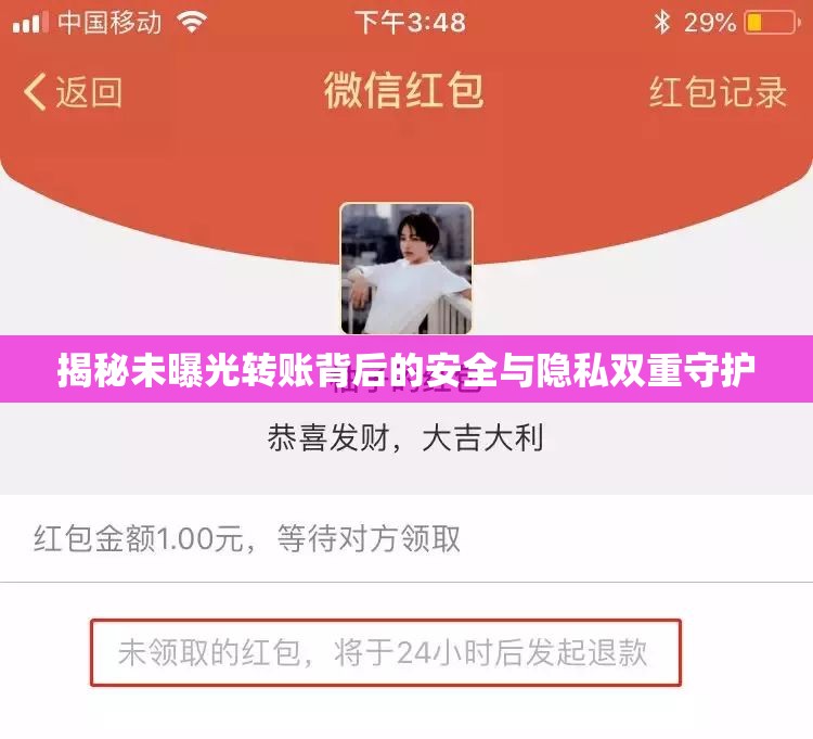 揭秘未曝光轉(zhuǎn)賬背后的安全與隱私雙重守護(hù)