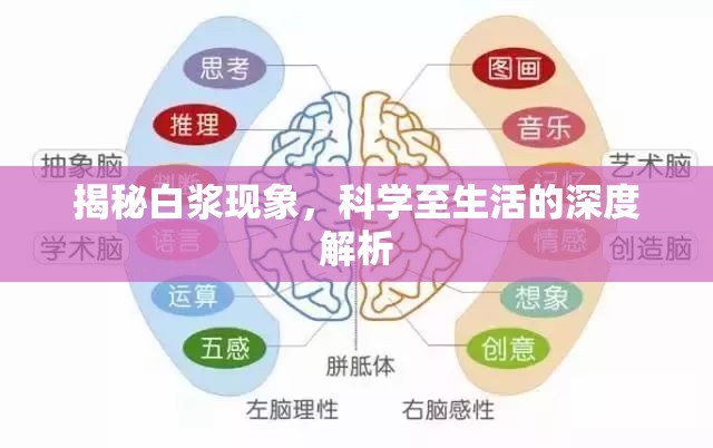 揭秘白漿現(xiàn)象，科學(xué)至生活的深度解析