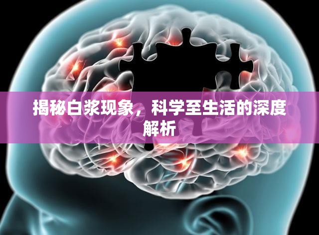 揭秘白漿現(xiàn)象，科學(xué)至生活的深度解析