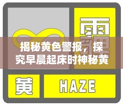 揭秘黃色警報，探究早晨起床時神秘黃色液體的真相