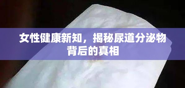 女性健康新知，揭秘尿道分泌物背后的真相