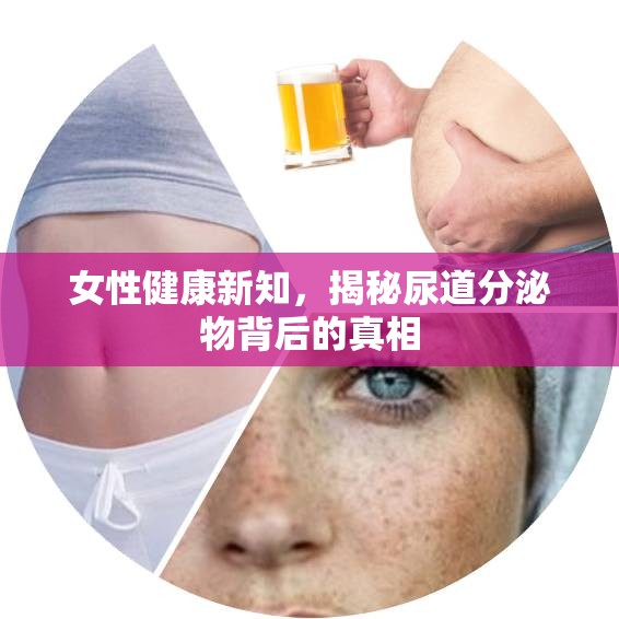 女性健康新知，揭秘尿道分泌物背后的真相