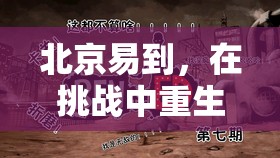 北京易到，在挑戰(zhàn)中重生的新篇章——最新動態(tài)與未來展望