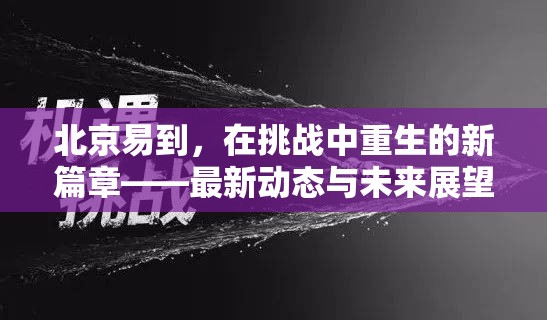 北京易到，在挑戰(zhàn)中重生的新篇章——最新動(dòng)態(tài)與未來(lái)展望