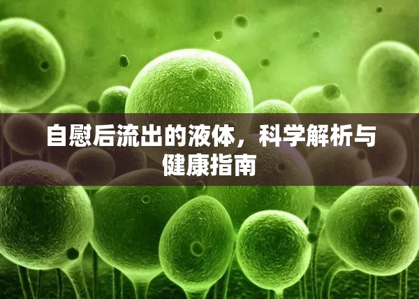 自慰后流出的液體，科學(xué)解析與健康指南