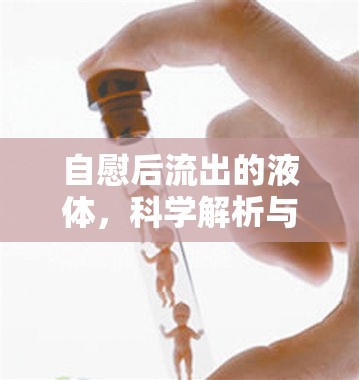 自慰后流出的液體，科學(xué)解析與健康指南