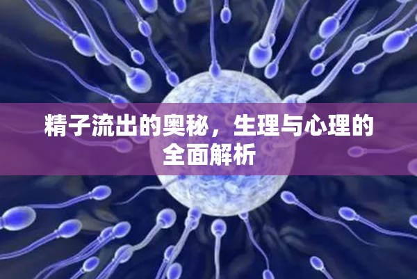 精子流出的奧秘，生理與心理的全面解析