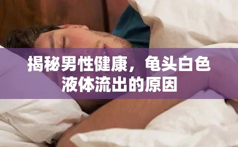 揭秘男性健康，龜頭白色液體流出的原因