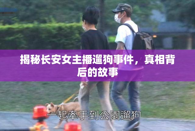 揭秘長安女主播遛狗事件，真相背后的故事