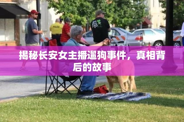 揭秘長安女主播遛狗事件，真相背后的故事