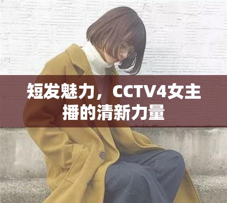 短發(fā)魅力，CCTV4女主播的清新力量