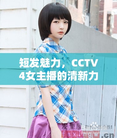 短發(fā)魅力，CCTV4女主播的清新力量