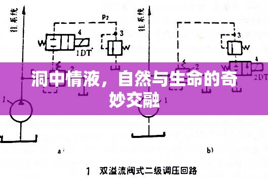 洞中情液，自然與生命的奇妙交融