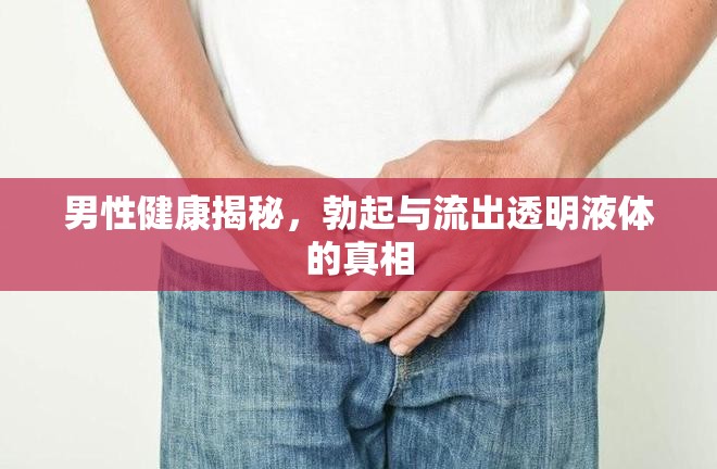 男性健康揭秘，勃起與流出透明液體的真相