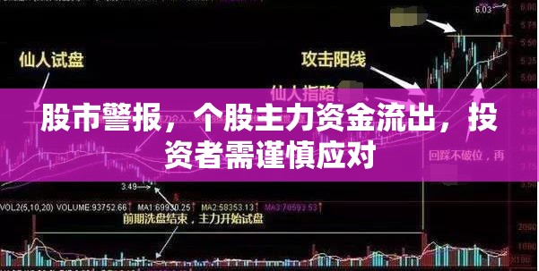 股市警報，個股主力資金流出，投資者需謹慎應(yīng)對