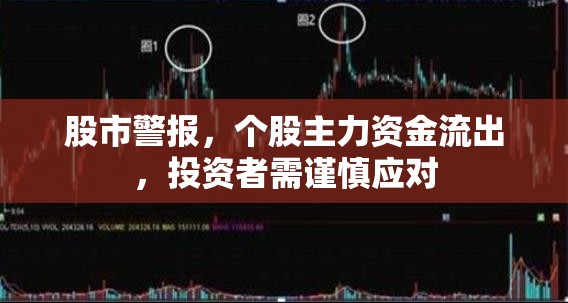 股市警報，個股主力資金流出，投資者需謹慎應(yīng)對