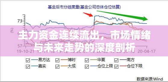 主力資金連續(xù)流出，市場情緒與未來走勢的深度剖析