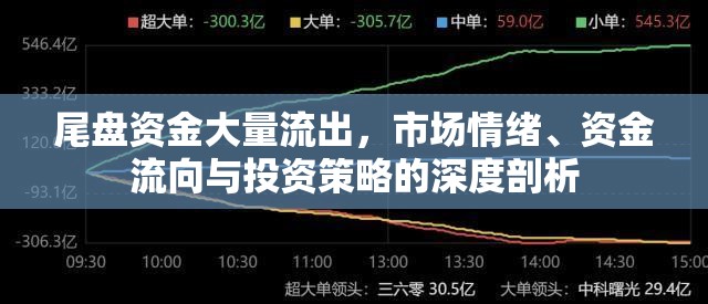 尾盤資金大量流出，市場情緒、資金流向與投資策略的深度剖析