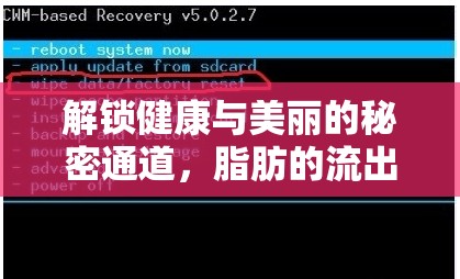 解鎖健康與美麗的秘密通道，脂肪的流出