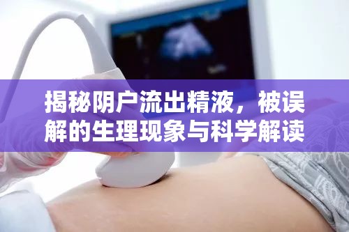 揭秘陰戶流出精液，被誤解的生理現(xiàn)象與科學(xué)解讀