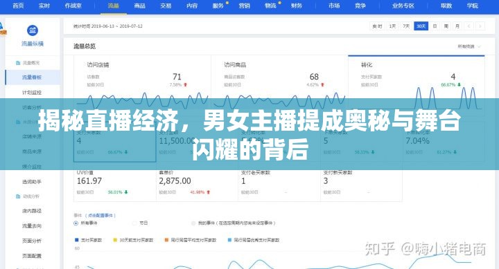 揭秘直播經(jīng)濟(jì)，男女主播提成奧秘與舞臺(tái)閃耀的背后
