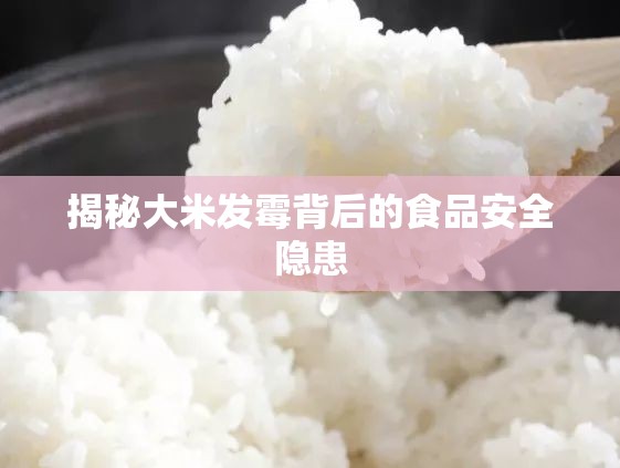 揭秘大米發(fā)霉背后的食品安全隱患